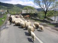 Crossing Romania on the way to Moldavia